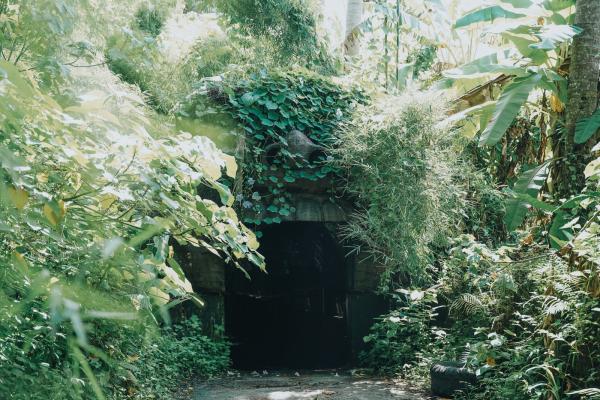 Oricid Cave Tunnel Track